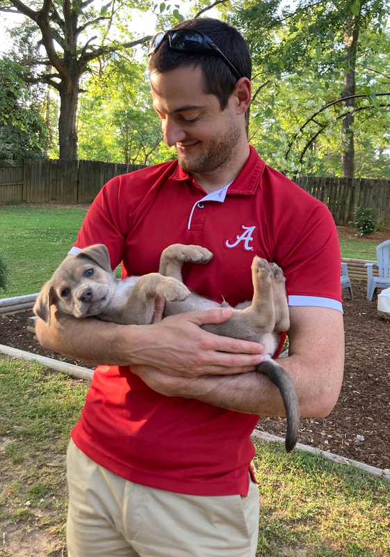 Dr. Kubacki wearing a red Alabama polo holding a light brown puppy, that is on its back looking at the camera.