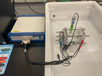 Experimental setup of electrochemical flat cell next to Gamry potentiostat.